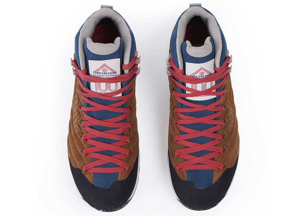 Women's Hiking boots Dachstein SF-21 MC GTX 1925 WMN Brown