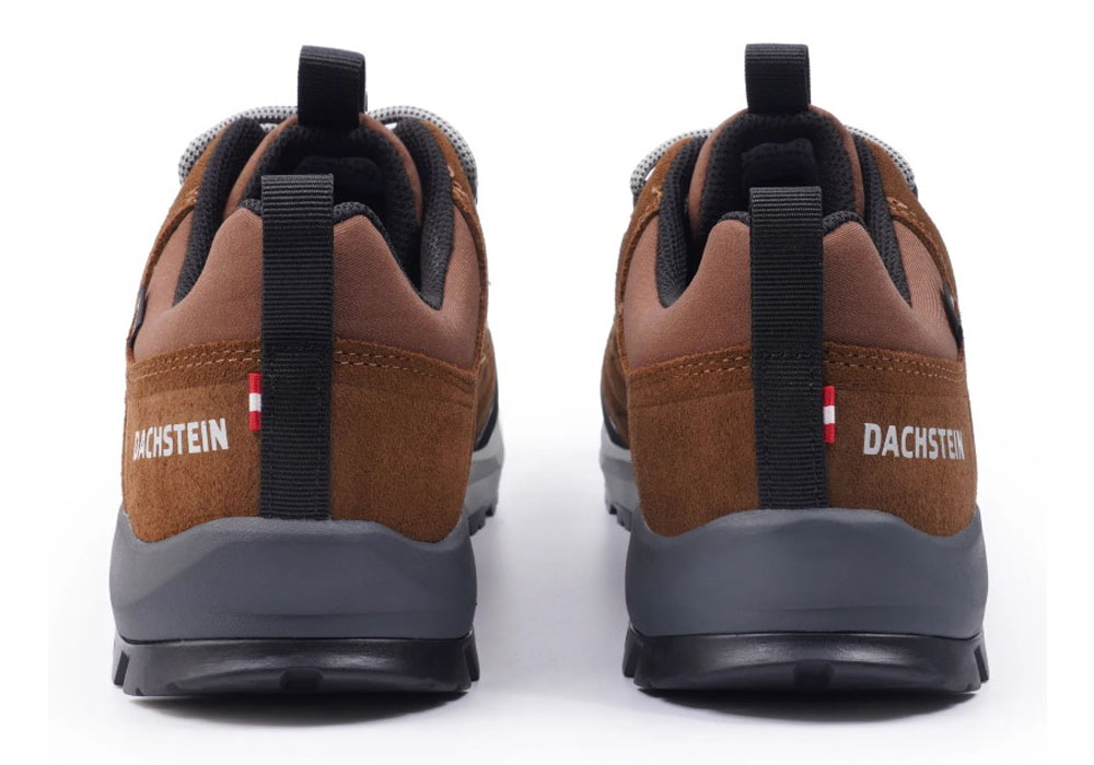 Back Dachstein SF-21 GTX Low Cut Shoes Hazel 2024