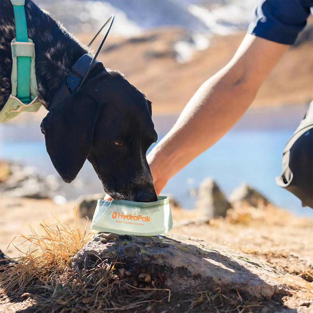 Сгъваема купа за куче HydraPak Rover Dog Bowl 500 ml Sutro Green