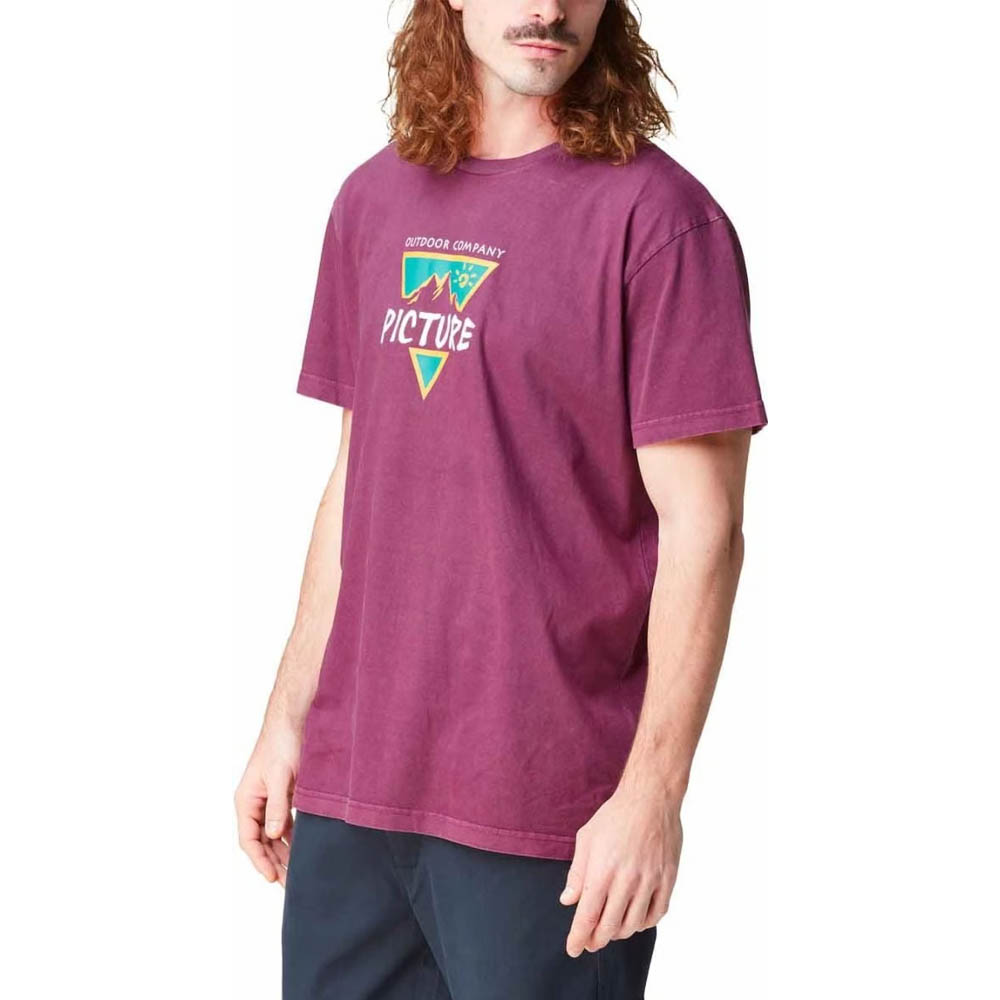 Men's tee Picture Organic Poeny Tee Purple Wine Washed 2025