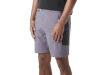 Picture Organic Shooner Stretch Shorts Excalibur 2025