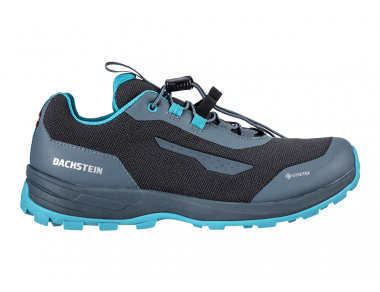 Delta Rise 2.0 GTX WMN Multisport Shoes Middle Grey 2022