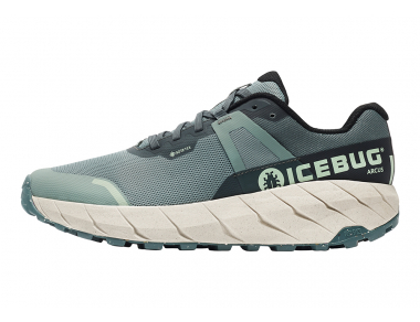 Icebug Arcus W RB9X GTX Running Shoes Green / Stone 2023